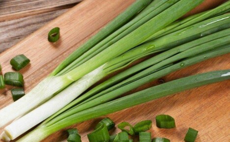 Kuinka säästää vihreää sipulia talvella pienellä vaivalla ja rahalla