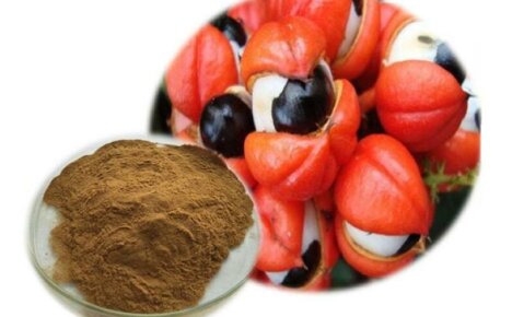 Luonnollinen kasvien energiajuoma - guarana-uute, mikä se on
