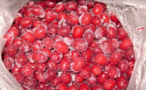 Kuinka säilyttää koiranpuu talveksi ja tarjota perheelle vitamiineja