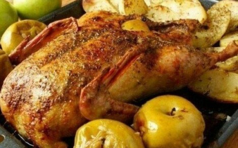 Ankka omenilla uunissa - ruokalaji lomille ja arkipäiville
