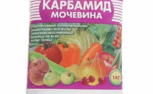 Urea puutarhaviljelyssä - käyttöehdot ja ominaisuudet