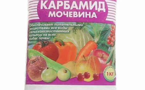 Urea puutarhaviljelyssä - käyttöehdot ja ominaisuudet