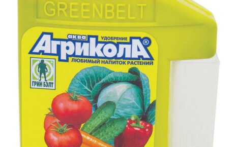 Agricola vegetan lannoitteen levittäminen sängyihin ja kukkapuutarhaan