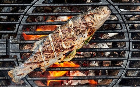 Grillattua kalaa piknikille todistettujen reseptien mukaan