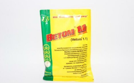 Vetom 1.1 eläimille - ohjeet immunostimulaattorin käytöstä