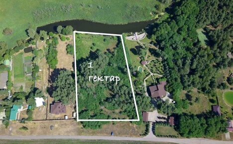 Tiedätkö kuinka monta m2 / hehtaari?
