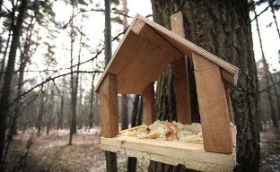Yksinkertaisen oravan syöttölaitteen tekeminen