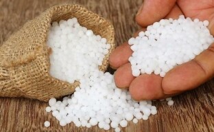 Urea on välttämätön lannoite puutarhaan ja kasvipuutarhaan
