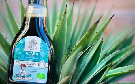 Agave-kasvin lääkinnälliset ominaisuudet: kasvikoostumus, tehokkaat reseptit