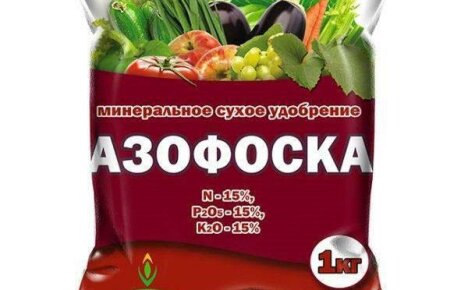 Kuinka Azofosk-lannoite toimii ja sen käyttöä koskevat säännöt