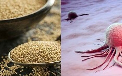 Tunne! Amaranth hoitaa syöpää