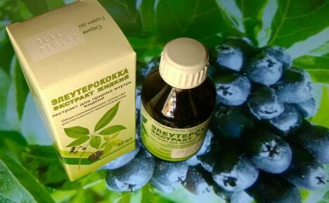 Eleutherococcus-tinktuura: käyttöohjeet, käyttöaiheet ja vasta-aiheet