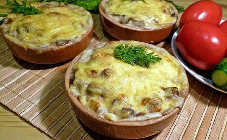 Ruoanlaitto julienne-kanaa ja sieniä koko perheelle