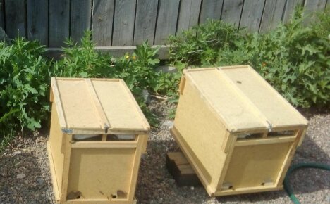 Mehiläispakettien ymmärtäminen ja niiden kanssa työskenteleminen