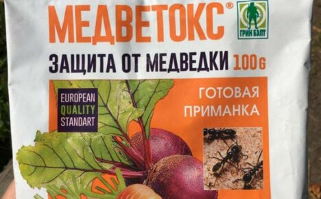 Medvetox - käyttöohjeet karhua ja muurahaisia ​​vastaan