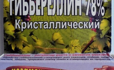 Ohjeet tehokkaan aineen käytöstä gibberelliinin tuoton lisäämiseksi