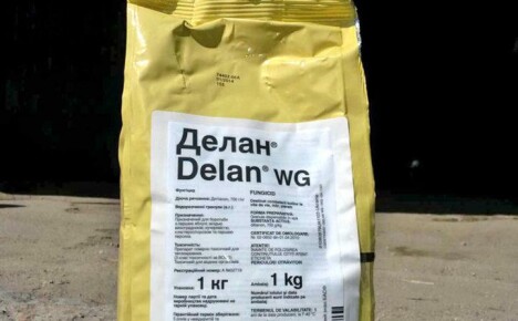 Puutarhurin avustava sienimyrkky Delan