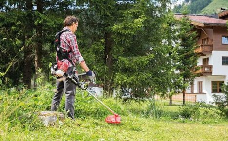Oksasaksen valinta kesämökille Aliexpressissä