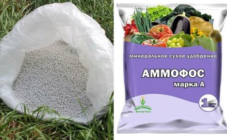 Ammophos-lannoite käytettäväksi kesämökissä