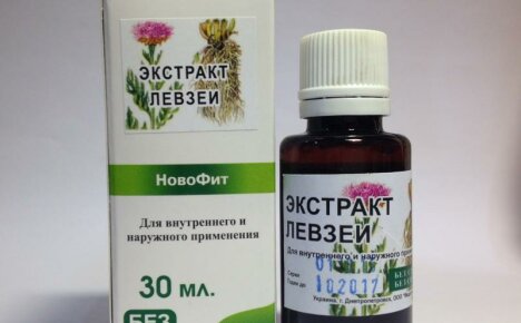 Leuzean tinktuura - käyttöohjeet, mihin sairauksiin sitä käytetään