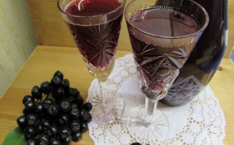 Aronia-viinin valmistus - vaiheittaiset ohjeet aloittelijoille