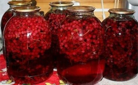 Aromaattinen kompotti talvella cerapaduksen, irgi ja karviaisen kanssa