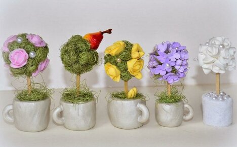 Hämmästyttävän kaunis DIY-topiary itsellesi ja lahjaksi