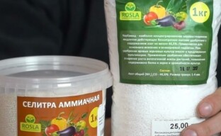 Karbamidi ja nitraatti: selvittää mikä lannoite on parempi
