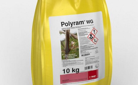 Käytä tehokasta sienitautien torjunta-ainetta Poliram taistelussa sadonkorjuussa (käyttöohjeet)