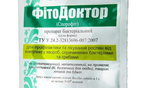 PhytoDoctor: ohjeet biofungisidien käytöstä, koostumuksesta, vaikutuksesta ja tehokkuudesta