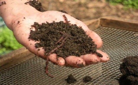 Ympäristöystävällinen lannoite biohumus - kotituotanto