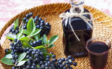 Alkoholi voi olla myös hyödyllinen - resepti aronia-tinktuuraa vodkalla