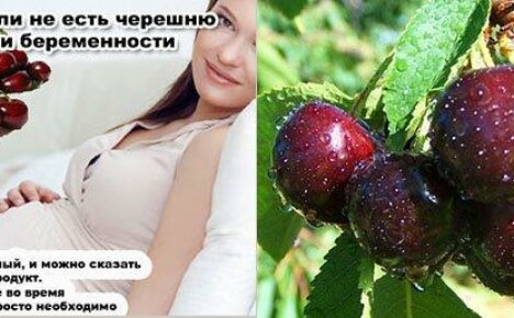 Kuinka turvallista ja välttämätöntä kirsikoiden käyttö raskauden ja imetyksen aikana on?