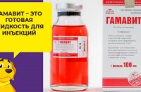 Sairauksien ja immuniteetin suhteen - immunomodulaattori Gamavit, käyttöohjeet koirille