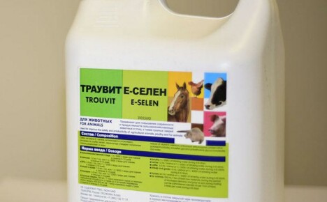 Ohjeet E-seleenin käytöstä linnuille