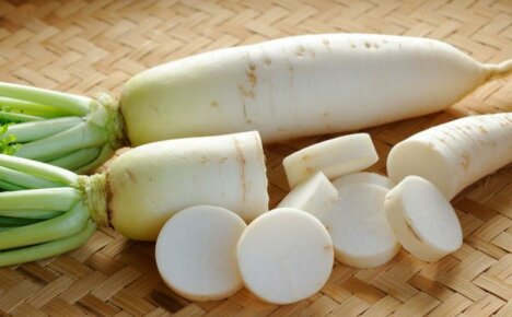 Daikon retiisi - makean juureksen hyödylliset ominaisuudet ja vasta-aiheet