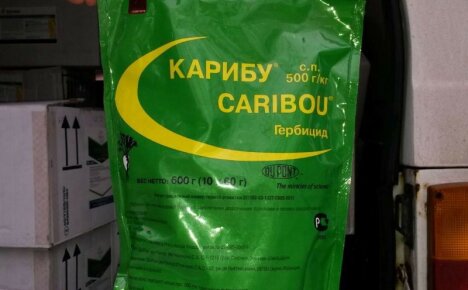 Tappava rikkaruohoille, turvallinen punajuurille - Caribou-rikkakasvien torjunta-aine
