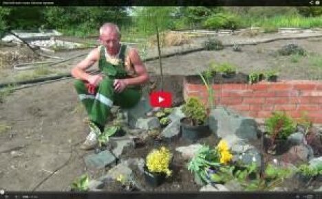 Kuinka tehdä rockeryä (video)