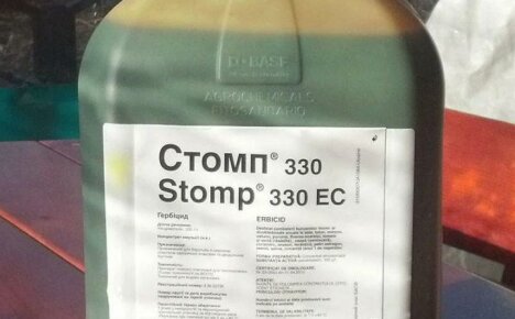 Stomp-rikkakasvien torjunta-aineen käyttö tai helppo tapa rikkakasvien torjumiseksi