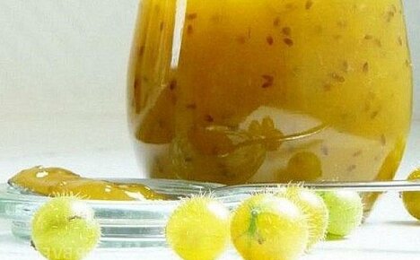 Salaisuuksia herkullisen karviaismarjahyytelön valmistamisesta appelsiinien kanssa