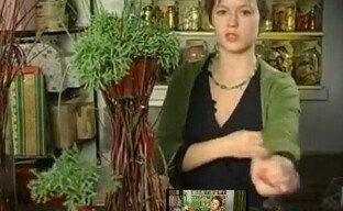 Alkuperäiset oksista valmistetut ruukut - tee-se-itse -jalusta luonnonmateriaaleista