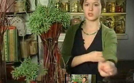 Alkuperäiset oksista valmistetut ruukut - tee-se-itse -jalusta luonnonmateriaaleista