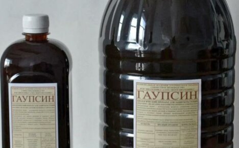Puutarhurin avuksi monikäyttöinen biologinen tuote Gaupsin (käyttöohjeet)