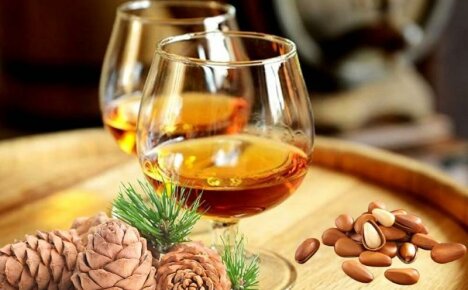 Se korvaa konjakin kokonaan juhlapöydällä - vodkaa pinjansiemeniä, resepti