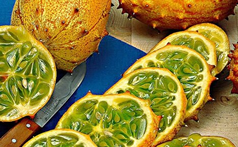 Mikä on Kiwano ja miten sitä syödään - kaikki sarvimelonista