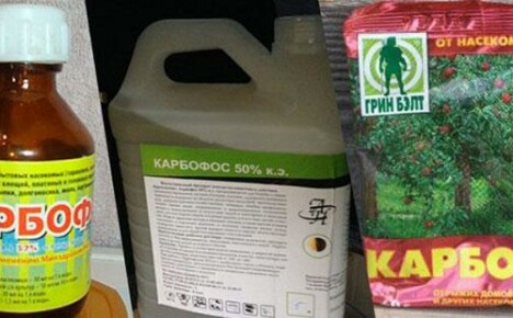 Karbofosin käyttö puutarhassa ja puutarhassa - säännöt ja määräykset tuholaisten käsittelystä
