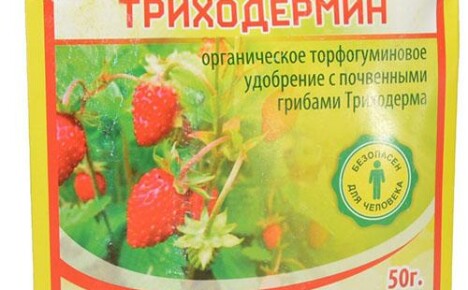 Biotuote Trichodermin kasvitauteja vastaan