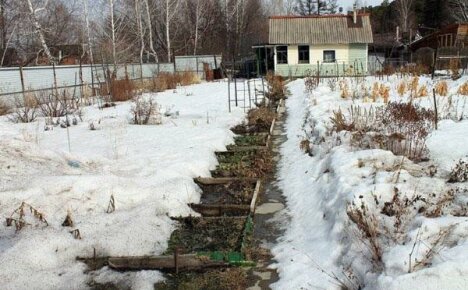 Mitä kesäasukkaan pitäisi tehdä sängyissä maaliskuussa?