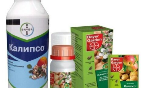 Hyönteismyrkky Calypso: luotettava ja tehokas avustaja puutarhurille ja puutarhurille