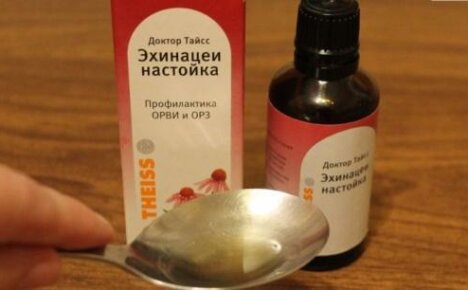 Kuinka juoda echinacea-tinktuura oikein ja kuka ei